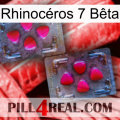 Rhinocéros 7 Bêta 15